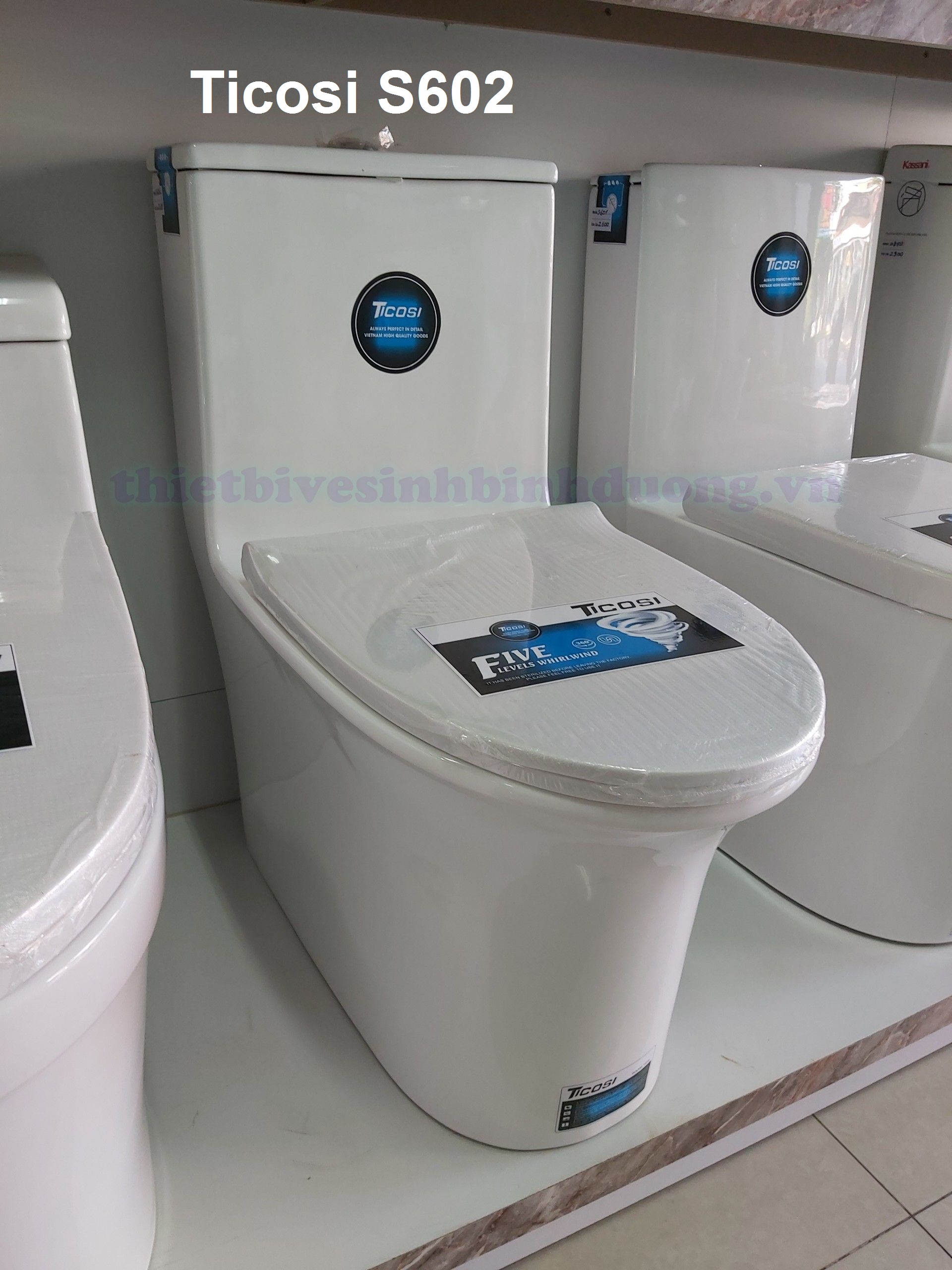 Hình thực tế Bồn cầu TICOSI S602